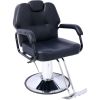 Hair Stylist All Purpose Barber Chair for Barbershop Salon Chair