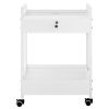 VEVOR Lab Cart, 2 Tiers Stainless Steel Utility Cart, Medical Cart with 2 Drawers, Rolling Lab Cart White Paint
